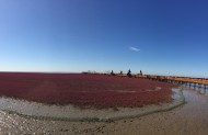 辽宁，盘锦红海滩风景图片