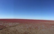 辽宁，盘锦红海滩风景图片