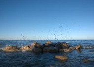淡雅娴静的青海湖图片