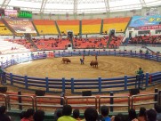 山东青岛风景图片