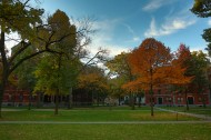 美国哈佛大学校园风景图片