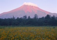 日本富士山春天风景图片