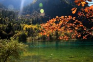 醉美的九寨沟风景图片