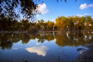 内蒙古额济纳胡杨林风景图片大全