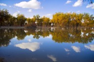 内蒙古额济纳胡杨林风景图片大全
