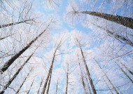 北海道风光图片