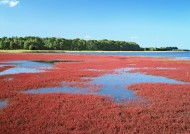 北海道风光图片