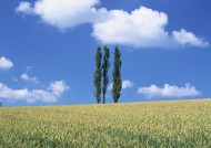 北海道风光图片