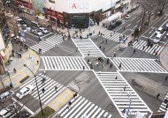 北海道风光图片