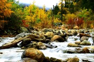 四川毕棚沟秋天风景图片