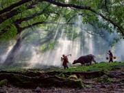 福建杨家溪晨雾风景图片大全