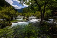 夏日九寨沟风景图片大全