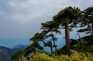 江西三清山风景图片