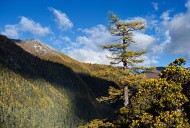 四川川西风景图片大全