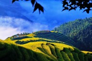 广西龙脊梯田风景图片大全