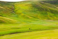 内蒙古呼伦贝尔草原风景图片大全