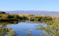 新疆白沙湖风景图片