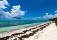 马尔代夫曼德芙仕岛风景图片大全