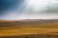 内蒙古呼伦贝尔草原秋天风景图片大全
