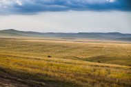 内蒙古呼伦贝尔草原秋天风景图片