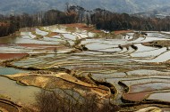 云南元阳梯田风景图片