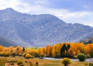 新疆可可托海的金秋景色大全