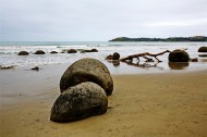 新西兰蓝岛摩拉基大圆石图片