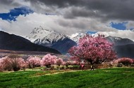 西藏林芝风景图片