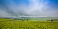 河北张北草原风景图片