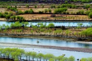 西藏尼洋河风景图片大全