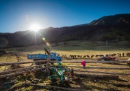 新疆喀纳斯风景图片