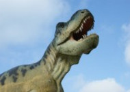 白垩纪时期的恐龙模型图片大全
