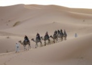 沙漠中骑行的骆驼图片