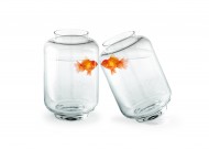 鱼缸中的金鱼图片