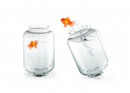 鱼缸中的金鱼图片