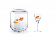 鱼缸中的金鱼图片