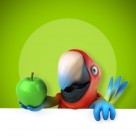 可爱的3D鹦鹉图片