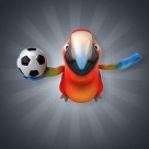 可爱的3D鹦鹉图片