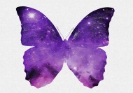 彩色蝴蝶剪影图片