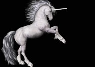 美丽的独角兽图片