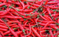 红色辣椒图片