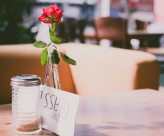 瓶子里的插花图片大全