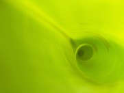 翠绿的叶子图片大全