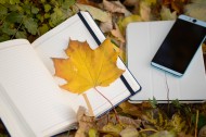 笔记本上的一片枫叶图片