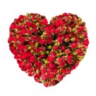 火红色的玫瑰花图片