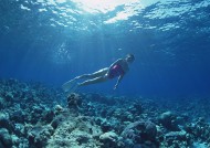 海底潜水图片大全