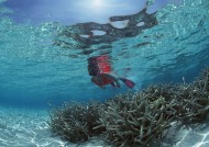 海底潜水图片大全