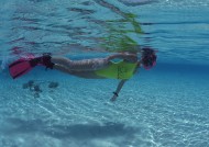 海底潜水图片大全