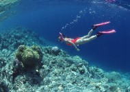 海底潜水图片大全