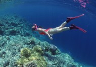 海底潜水图片大全